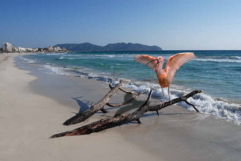 xyz Montage-LandDSC_5268.jpg